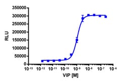 Eurofins Discoverx PathHunter eXpress VIPR1 CHO-K1 β-Arrestin GPCR Assay,