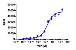 Eurofins Discoverx PathHunter CHO-K1 VIPR2 β-Arrestin Cell Line, 2 vials.