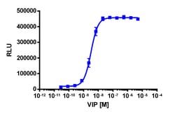 Eurofins Discoverx&nbsp;PathHunter eXpress VIPR2 CHO-K1 β-Arrestin GPCR Assay, 10-Plate Kit. (93-0317E2CP0L)