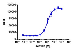 Eurofins Discoverx&nbsp;PathHunter eXpressNR CHO-K1 β-Arrestin GPCR Assay, 10-Plate Kit. (93-0323E2CP0L)