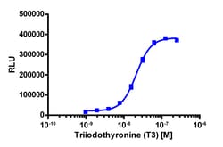Eurofins Discoverx&nbsp;PathHunter CHO-K1 THRα Protein Interaction Cell Line, 2 vials. (93-0324C2)