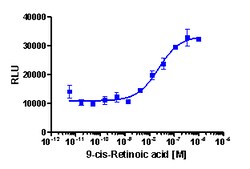Eurofins Discoverx&nbsp;PathHunter CHO-K1 RARα Protein Interaction Cell Line, 2 vials. (93-0325C2)
