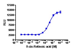 Eurofins Discoverx&nbsp;PathHunter CHO-K1 RARβ Protein Interaction Cell Line, 2 vials. (93-0326C2)