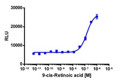 Eurofins Discoverx&nbsp;PathHunter CHO-K1 RXRγ Protein Interaction Cell Line, 2 vials. (93-0327C2)