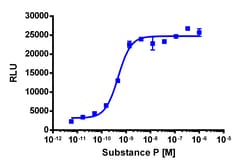Eurofins Discoverx&nbsp;PathHunter CHO-K1 TACR1 β-Arrestin Cell Line, 2 vials. (93-0344C2)