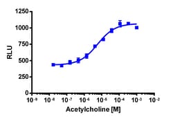 Eurofins Discoverx&nbsp;PathHunter eXpress CHRM4 CHO-K1 β-Arrestin GPCR Assay, 2-Plate Kit. (93-0349E2CP0M)