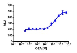 Eurofins Discoverx&nbsp;PathHunter U2OS GPR119 β-Arrestin Cell Line, 2 vials. (93-0356C3)