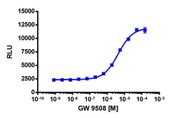 Eurofins Discoverx&nbsp;PathHunter CHO-K1 GPR120L (Long Isoform) β-Arrestin Cell Line, 2 vials. (93-0366C2)