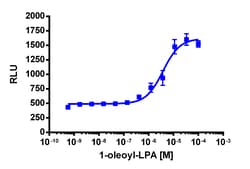 Eurofins Discoverx PathHunter CHO-K1 GPR92 β-Arrestin Cell Line, 2 vials.