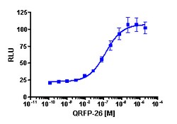 Eurofins Discoverx PathHunter CHO-K1 GPR103 β-Arrestin Cell Line, 2 vials. (93-0376C2A)