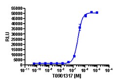 Eurofins Discoverx&nbsp;PathHunter CHO-K1 LXRα Protein Interaction Cell Line, 2 vials. (93-0389C2)