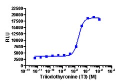 Eurofins Discoverx&nbsp;PathHunter CHO-K1 THRβ Protein Interaction Cell Line, 2 vials. (93-0391C2)