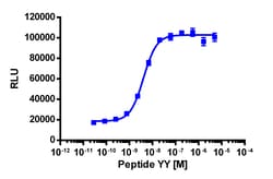 Eurofins Discoverx&nbsp;PathHunter eXpress NPY1R CHO-K1 β-Arrestin GPCR Assay, 10-Plate Kit. (93-0397E2CP0L)