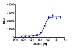 Eurofins Discoverx PathHunter CHO-K1 OPRD1 β-Arrestin Cell Line, 2 vials.
