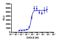 Eurofins Discoverx&nbsp;PathHunter U2OS OPRD1 β-Arrestin Cell Line, 2 vials. (93-0400C3)