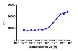 Eurofins Discoverx&nbsp;PathHunter U2OS SSTR5 β-Arrestin Cell Line, 2 vials. (93-0402C3)