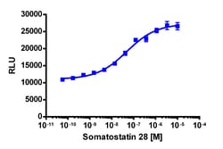 Eurofins Discoverx&nbsp;PathHunter eXpress SSTR5 U2OS β-Arrestin GPCR Assay, 2-Plate Kit. (93-0402E3CP0M)