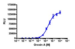 Eurofins Discoverx PathHunter CHO-K1 HCRTR2 β-Arrestin Cell Line, 2 vials. (93-0427C2)