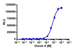 Eurofins Discoverx PathHunter eXpress HCRTR2 CHO-K1 β-Arrestin GPCR Assay,