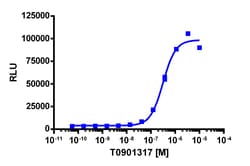 Eurofins Discoverx PathHunter CHO-K1 LXRβ Protein Interaction Cell Line,