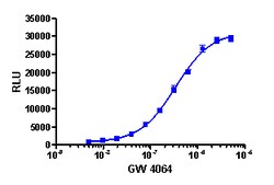Eurofins Discoverx PathHunter CHO-K1 FXR Protein Interaction Cell Line,