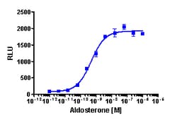 Eurofins Discoverx&nbsp;PathHunter CHO-K1 MR Nuclear Translocation Cell Line, 2 vials. (93-0451C2)