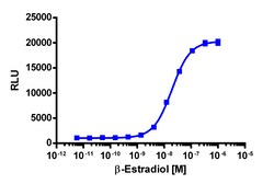 Eurofins Discoverx PathHunter CHO-K1 ERα Protein Interaction Cell Line,