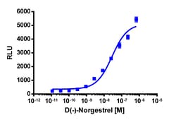 Eurofins Discoverx&nbsp;PathHunter CHO-K1 AR Protein Interaction Cell Line, 2 vials. (93-0454C2)