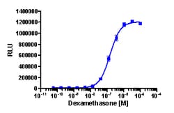 Eurofins Discoverx&nbsp;PathHunter CHO-K1 GR Protein Interaction Cell Line, 2 vials. (93-0456C2)