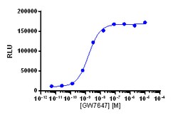 Eurofins Discoverx&nbsp;PathHunter CHO-K1 PPARα Protein Interaction Cell Line, 2 vials. (93-0457C2)