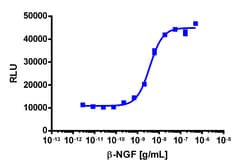 Eurofins Discoverx&nbsp;PathHunter eXpress TrkA Functional Assay, 2-Plate Kit. (93-0462E3CP16M)