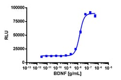 Eurofins Discoverx&nbsp;PathHunter eXpress TrkB Functional Assay, 2-Plate Kit. (93-0463E3CP16M)