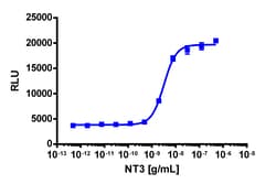 Eurofins Discoverx&nbsp;PathHunter eXpress TrkC Functional Assay, 2-Plate Kit. (93-0464E3CP16M)