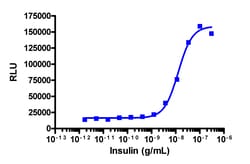 Eurofins Discoverx PathHunter U2OS INSRb Functional Assay, 2 vials. (93-0466C3),