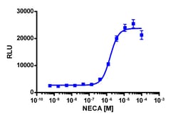 Eurofins Discoverx&nbsp;PathHunter eXpress mADORA2B CHO-K1 β-Arrestin GPCR Assay, 10pl Kit. (93-0469E2MCP0L)