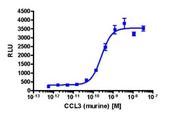 Eurofins Discoverx PathHunter CHO-K1 mCCR5 β-Arrestin Cell Line, 2 vials.