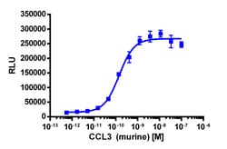 Eurofins Discoverx&nbsp;PathHunter eXpress mCCR5 CHO-K1 β-Arrestin GPCR Assay, 10-Plate Kit. (93-0470E2MCP0L)
