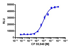 Eurofins Discoverx&nbsp;PathHunter eXpress mCNR1 CHO-K1 β-Arrestin GPCR Assay, 10-Plate Kit. (93-0471E2MCP0L)