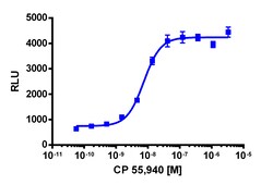 Eurofins Discoverx PathHunter CHO-K1 mCNR2 (CB2) β-Arrestin Cell Line,