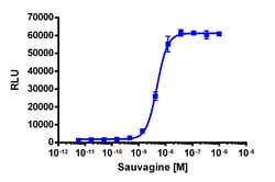 Eurofins Discoverx PathHunter eXpress mCRHR1 CHO-K1 β-Arrestin GPCR Assay,