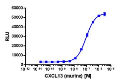 Eurofins Discoverx PathHunter CHO-K1 mCXCR5 β-Arrestin Cell Line, 2 vials. (93-0474C2)