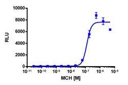 Eurofins Discoverx&nbsp;PathHunter CHO-K1 mMCHR1 β-Arrestin Cell Line, 2 vials. (93-0479C2)