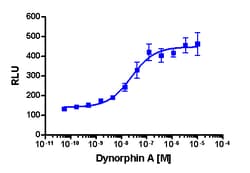 Eurofins Discoverx&nbsp;PathHunter CHO-K1 mOPRK1 β-Arrestin Cell Line, 2 vials. (93-0480C2)