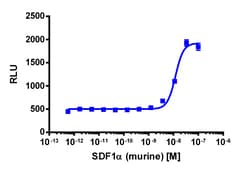 Eurofins Discoverx PathHunter U2OS mCXCR4 β-Arrestin Cell Line, 2 vials.