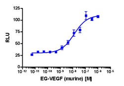 Eurofins Discoverx&nbsp;PathHunter CHO-K1 rPROKR2 β-Arrestin Cell Line, 2 vials. (93-0482C2)