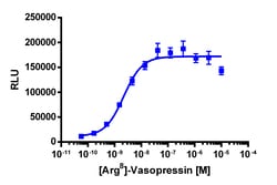 Eurofins Discoverx&nbsp;PathHunter eXpress AVPR1B CHO-K1 β-Arrestin GPCR Assay, 10-Plate Kit. (93-0486E2CP0L)