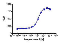 Eurofins Discoverx&nbsp;PathHunter CHO-K1 ADRB1 β-Arrestin Cell line, 2 vials. (93-0488C2)