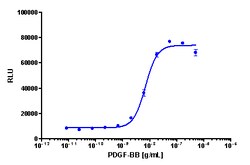 Eurofins Discoverx PathHunter U2OS PDGFRb Functional Assay, 2 vials. (93-0493C3),