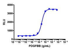Eurofins Discoverx PathHunter eXpress PDGFRb Functional Assay, 2-Plate