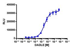 Eurofins Discoverx&nbsp;PathHunter eXpress rOPRM1 CHO-K1 β-Arrestin GPCR Assay, 10-Plate Kit. (93-0494E2RCP2L)
